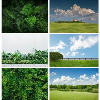 Винил фон за снимки с естествени природа, Зелена трева, Горски Цветя пейзаж, на Фона на снимки за пътуване, Студиен подпори CTCD-06