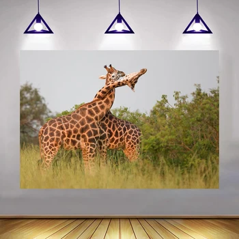 Дърво, Африканска Савана, Монтиране на горското животно, Семейство Жирафи, Всекидневна, ТВ-на фона на декор за общежития на колежа, Банер за фотография