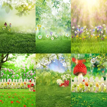Фонове Avezano за фотография, през Пролетта на Вълшебна гора, Зелена трева, Цветя, Гъби, природни пейзажи, подпори за фото студио